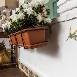 Patio Marquez Bed & Breakfast